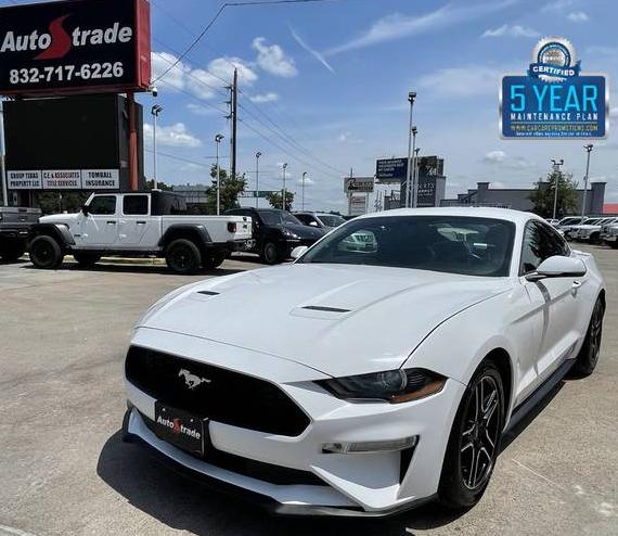 FORD MUSTANG 2020 1FA6P8TH9L5139112 image