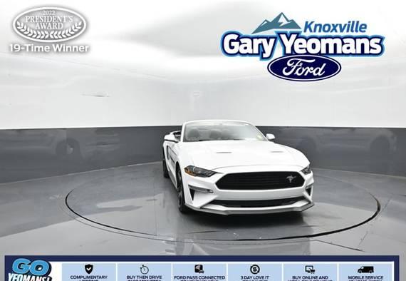 FORD MUSTANG 2020 1FATP8FF7L5145262 image