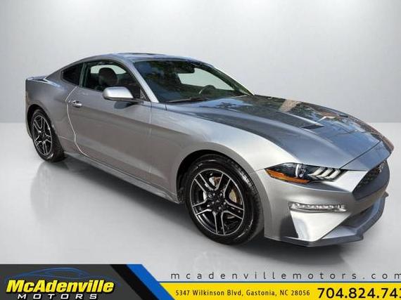 FORD MUSTANG 2020 1FA6P8TH0L5183094 image