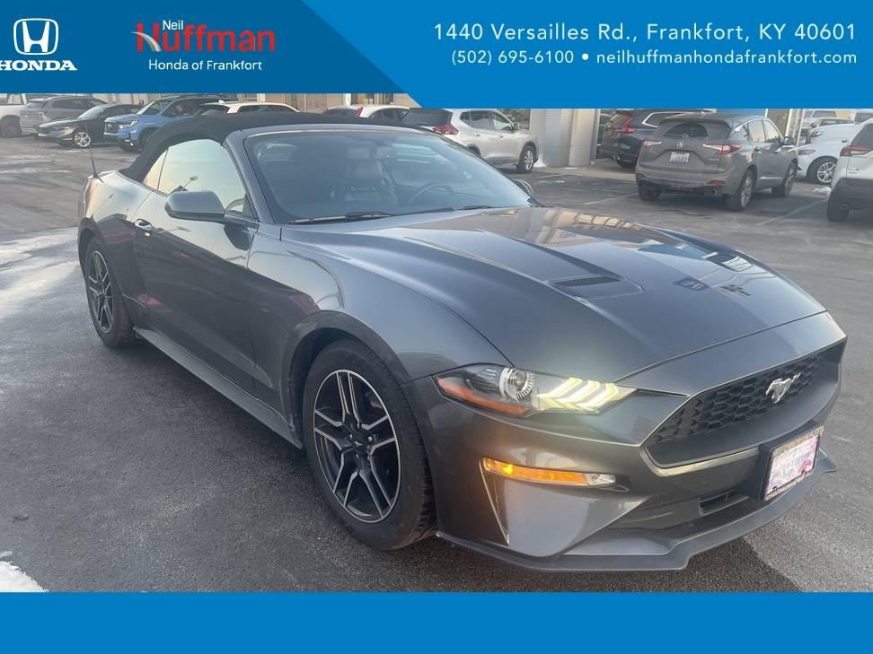 FORD MUSTANG 2020 1FATP8UH5L5143045 image