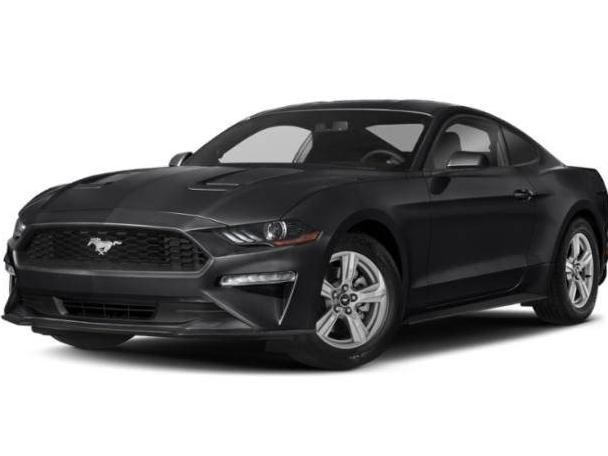 FORD MUSTANG 2020 1FA6P8TH8L5127467 image