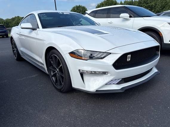 FORD MUSTANG 2020 1FA6P8TH3L5174616 image