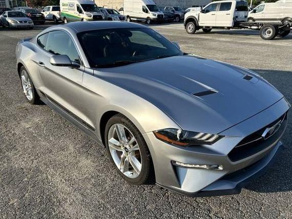 FORD MUSTANG 2020 1FA6P8TH9L5149350 image