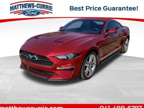 FORD MUSTANG 2020 1FA6P8TH9L5168982 image