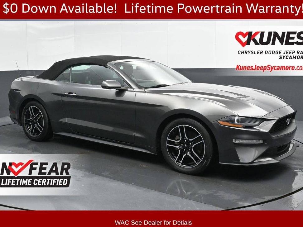 FORD MUSTANG 2020 1FATP8UH4L5143098 image