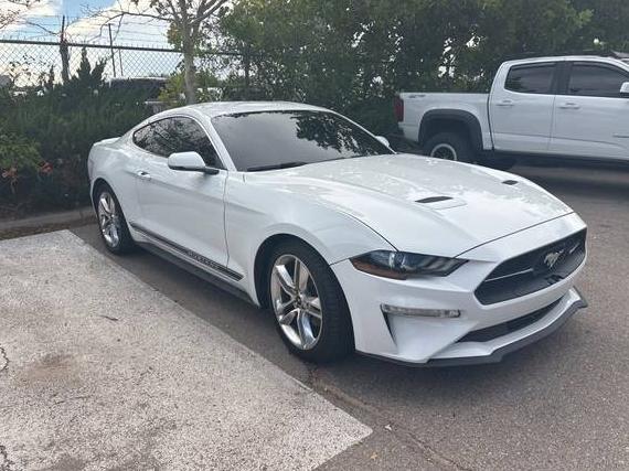 FORD MUSTANG 2020 1FA6P8TH3L5127425 image