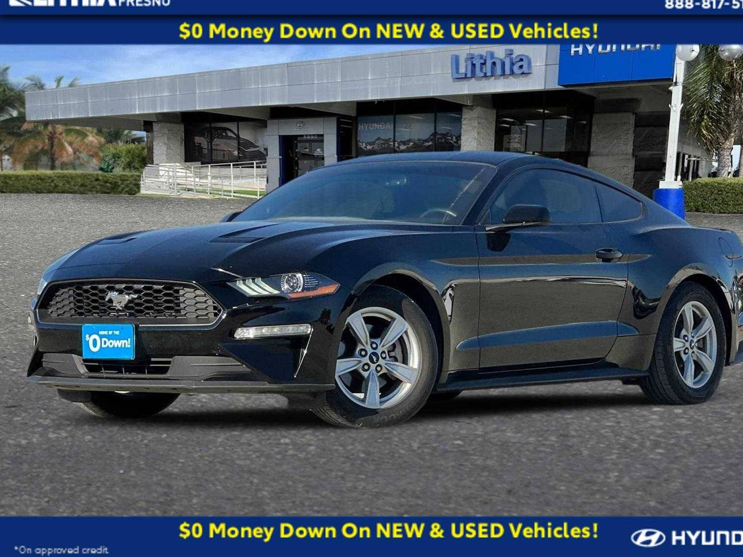 FORD MUSTANG 2020 1FA6P8TH8L5159979 image