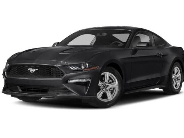 FORD MUSTANG 2020 1FA6P8TH4L5183924 image