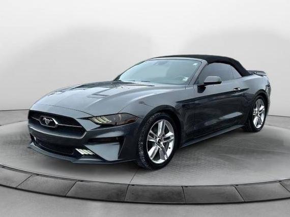 FORD MUSTANG 2020 1FATP8UH5L5191015 image