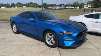 FORD MUSTANG 2020 1FA6P8TH7L5108263 image