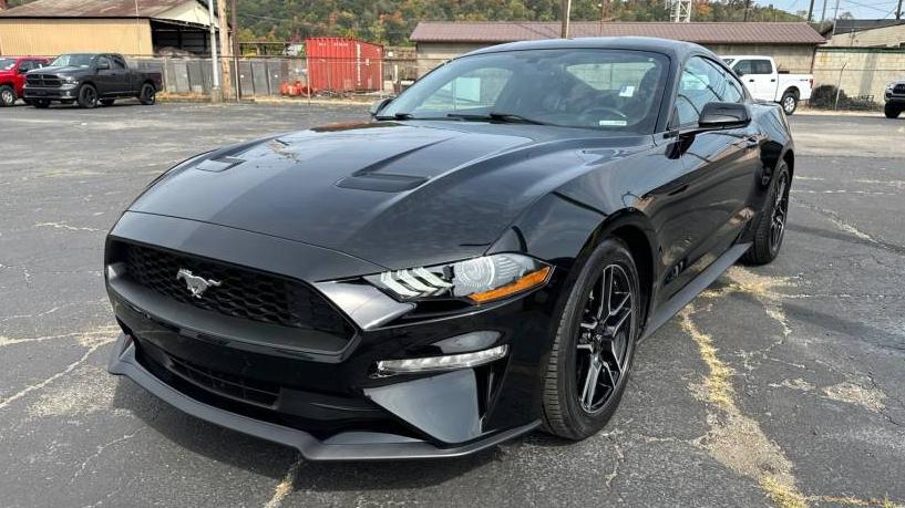 FORD MUSTANG 2020 1FA6P8TH5L5169532 image