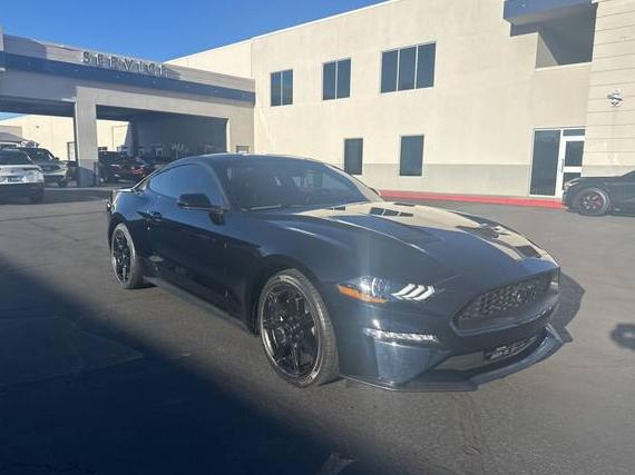 FORD MUSTANG 2020 1FA6P8TH9L5191873 image