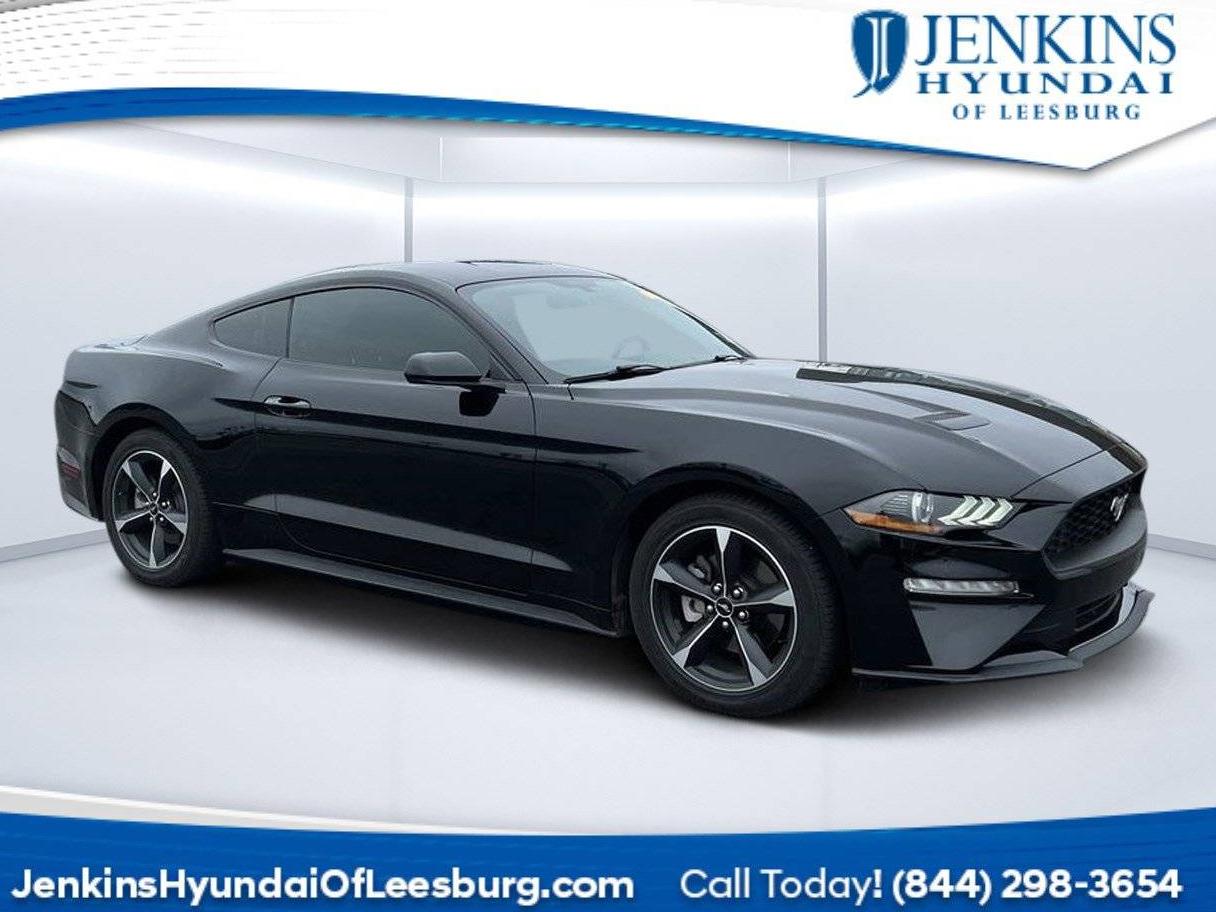 FORD MUSTANG 2020 1FA6P8TH1L5113961 image