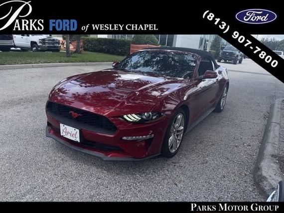 FORD MUSTANG 2020 1FATP8UH9L5187209 image