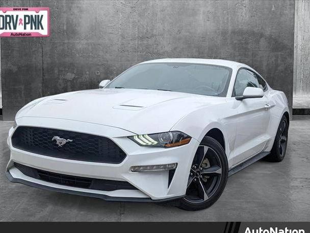 FORD MUSTANG 2020 1FA6P8TH8L5181822 image