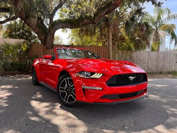 FORD MUSTANG 2020 1FATP8UH6L5147136 image