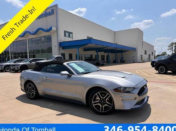 FORD MUSTANG 2020 1FATP8UH8L5119502 image FORD MUSTANG 2020 1FATP8UH8L5119502 image