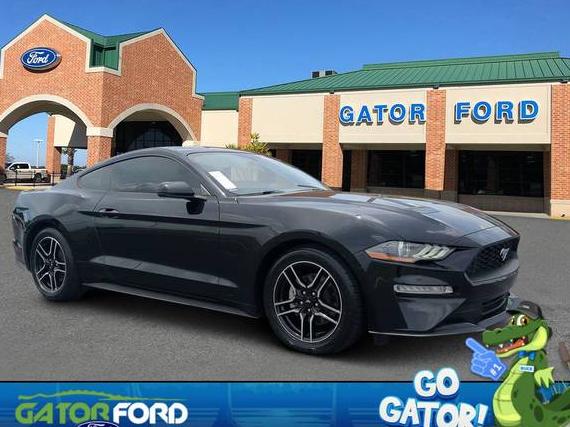 FORD MUSTANG 2020 1FA6P8TH5L5159308 image