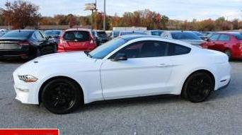 FORD MUSTANG 2020 1FA6P8THXL5108158 image