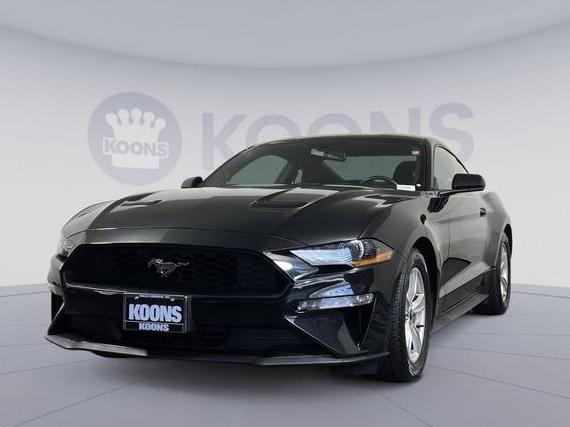 FORD MUSTANG 2020 1FA6P8TH7L5105752 image