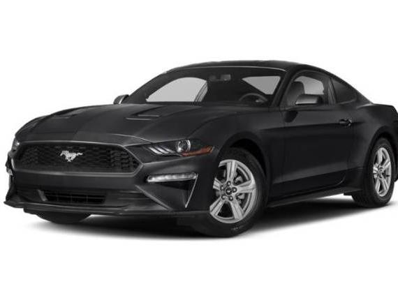 FORD MUSTANG 2020 1FA6P8TH8L5177107 image