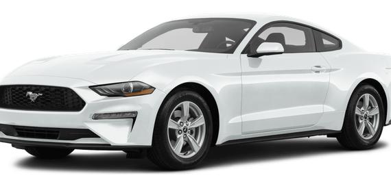 FORD MUSTANG 2020 1FA6P8TH3L5183350 image