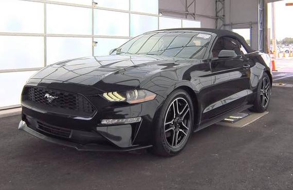 FORD MUSTANG 2020 1FATP8UH8L5131665 image