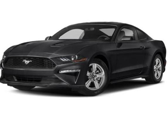FORD MUSTANG 2020 1FA6P8TH5L5121156 image