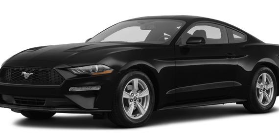 FORD MUSTANG 2020 1FA6P8TH5L5125028 image