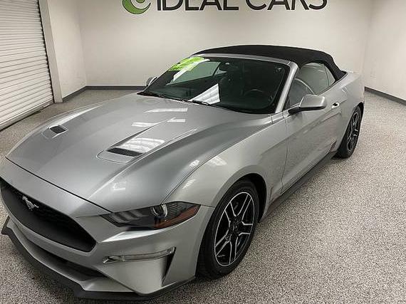 FORD MUSTANG 2020 1FATP8UH9L5137555 image