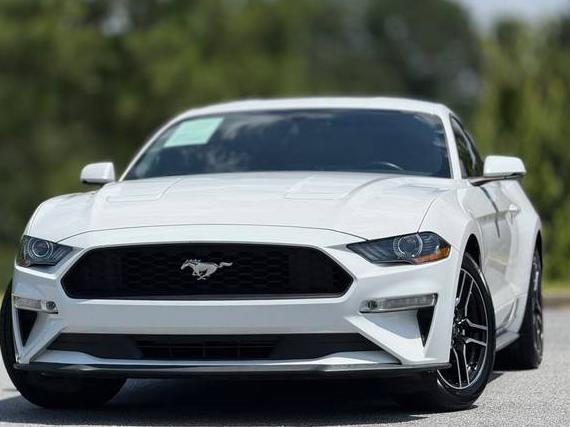FORD MUSTANG 2020 1FA6P8TH4L5147506 image