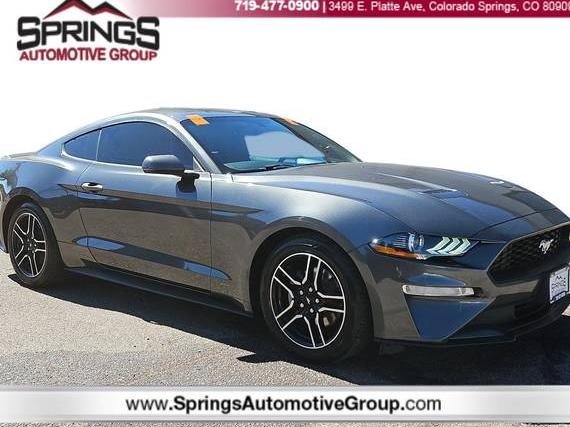 FORD MUSTANG 2020 1FA6P8TH6L5137253 image
