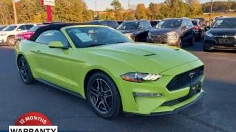 FORD MUSTANG 2020 1FATP8UH8L5105924 image
