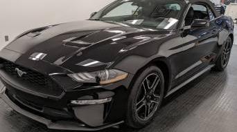FORD MUSTANG 2020 1FATP8UHXL5156759 image
