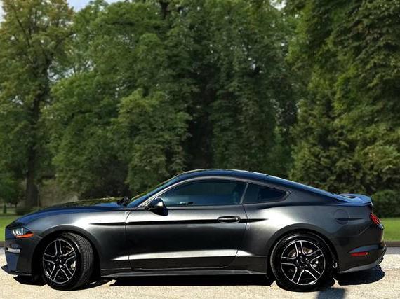 FORD MUSTANG 2020 1FA6P8TH4L5124128 image