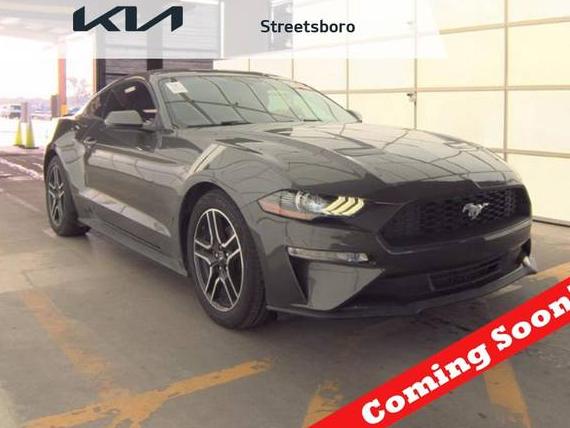 FORD MUSTANG 2020 1FA6P8THXL5176346 image