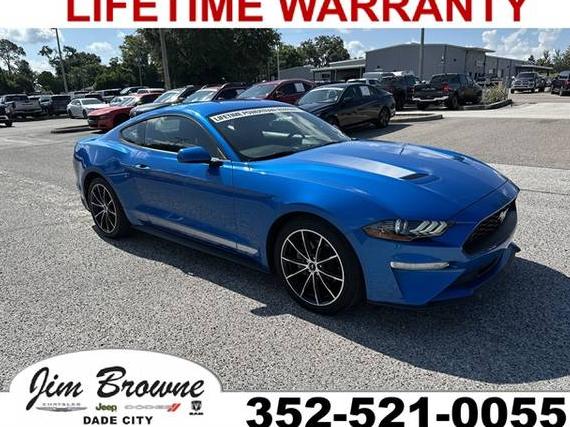 FORD MUSTANG 2020 1FA6P8TH3L5102847 image