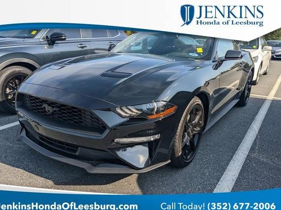 FORD MUSTANG 2020 1FA6P8TH4L5169070 image
