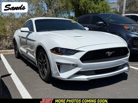 FORD MUSTANG 2020 1FA6P8TH8L5139182 image