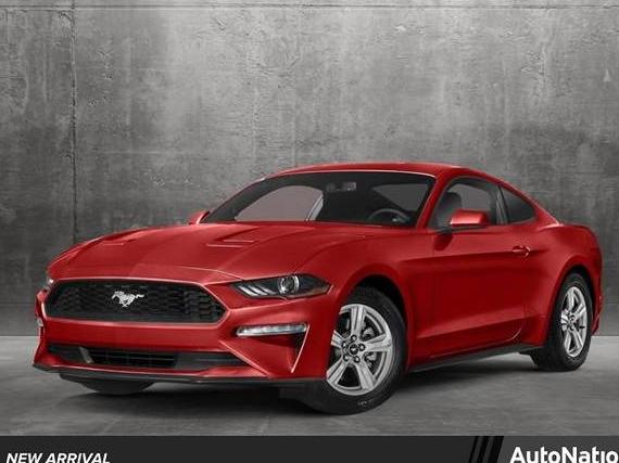 FORD MUSTANG 2020 1FA6P8TH1L5167082 image