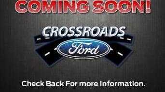 FORD MUSTANG 2020 1FA6P8SJXL5499977 image