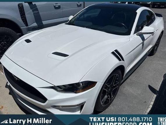 FORD MUSTANG 2020 1FA6P8TH2L5147553 image