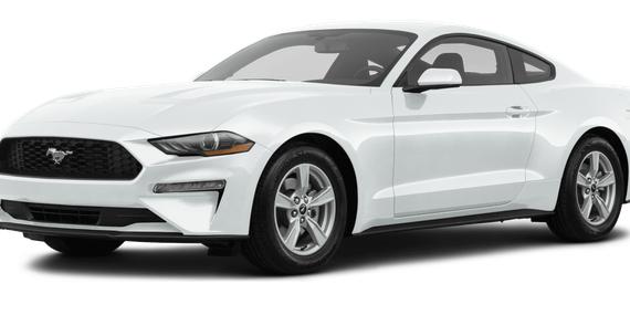 FORD MUSTANG 2020 1FA6P8TH7L5176613 image