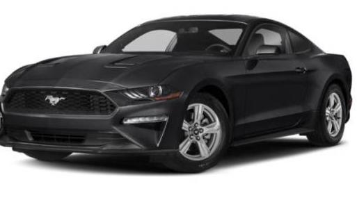 FORD MUSTANG 2020 1FA6P8TH4L5141771 image