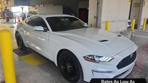 FORD MUSTANG 2020 1FA6P8TH7L5176496 image