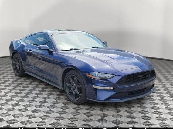 FORD MUSTANG 2020 1FA6P8TH4L5158327 image