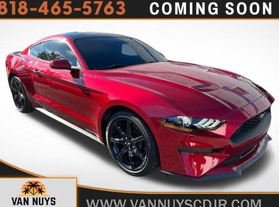 FORD MUSTANG 2020 1FA6P8TH0L5146045 image