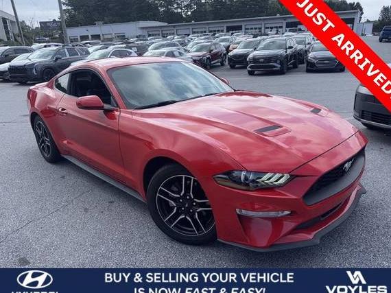 FORD MUSTANG 2020 1FA6P8TH3L5120104 image