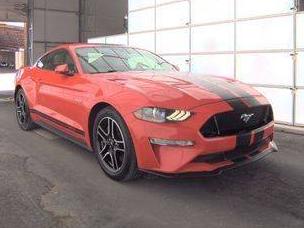 FORD MUSTANG 2020 1FA6P8CF9L5143384 image