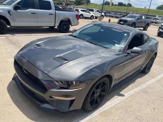 FORD MUSTANG 2020 1FA6P8TH0L5158552 image